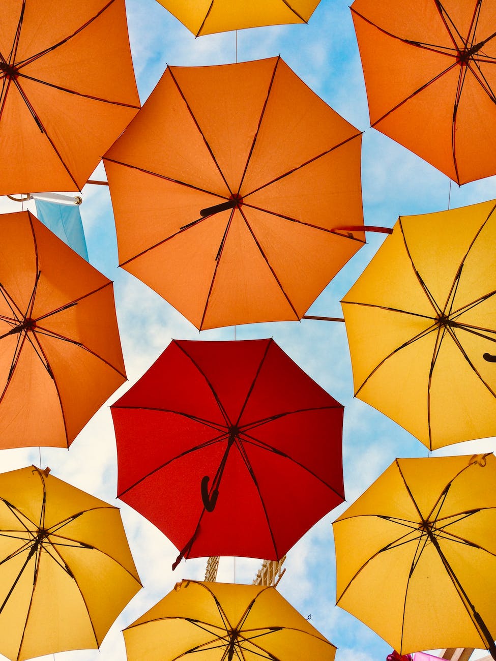 low angle photo of umbrellas